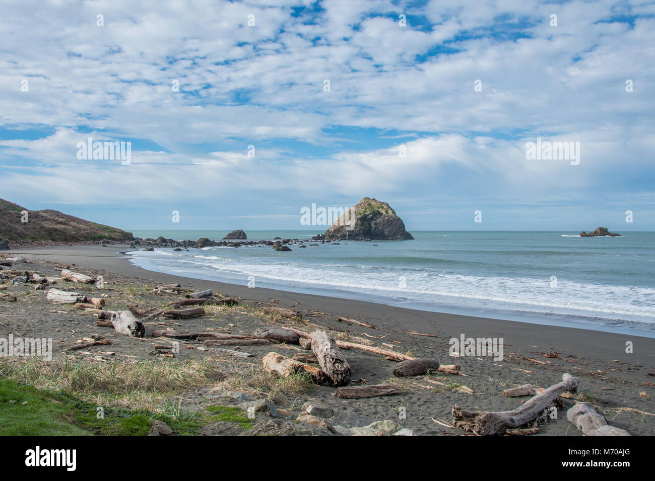 Driftwood on the beach along highway 101 in northern California Stock
