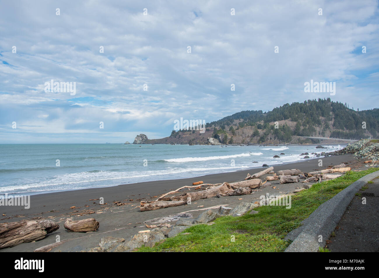 Driftwood on the beach along highway 101 in northern California Stock