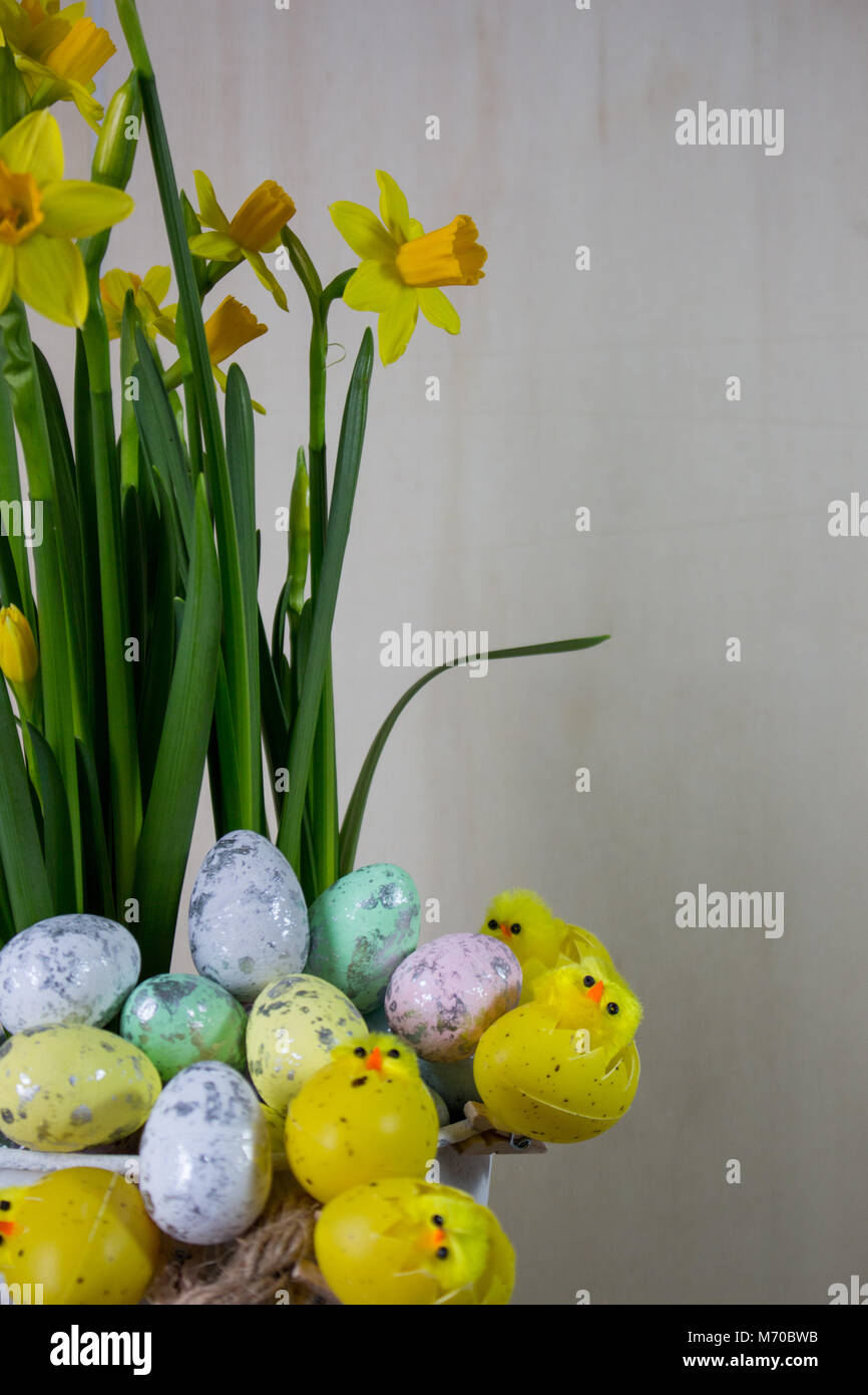 Easter eggs and chick hiding in the grass with daffodil Stock Photo - Alamy