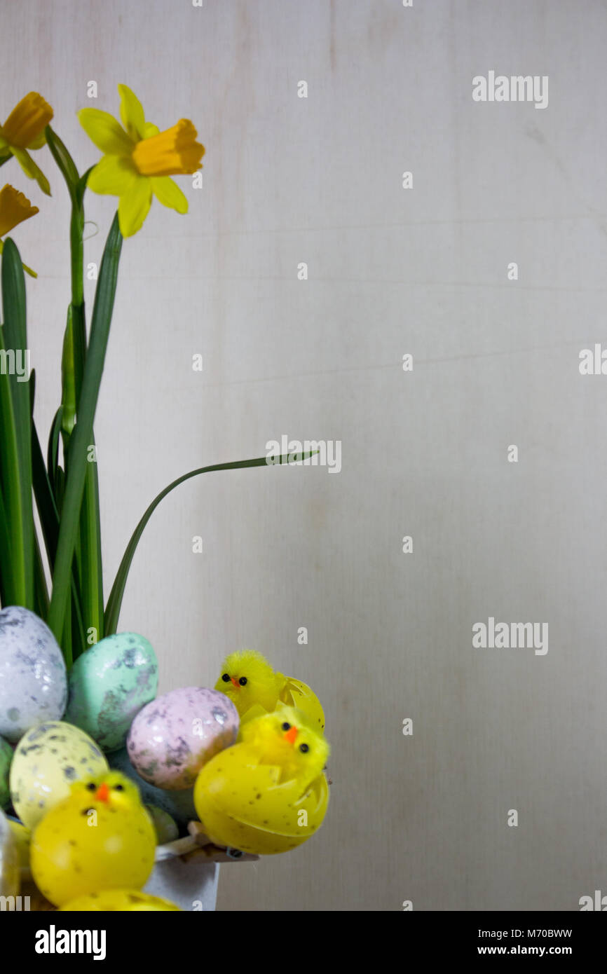 Easter eggs and chick hiding in the grass with daffodil Stock Photo - Alamy