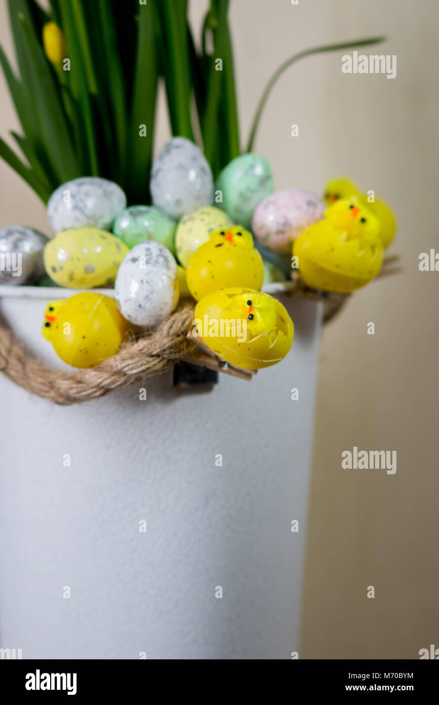 Easter eggs and chick hiding in the grass with daffodil Stock Photo - Alamy