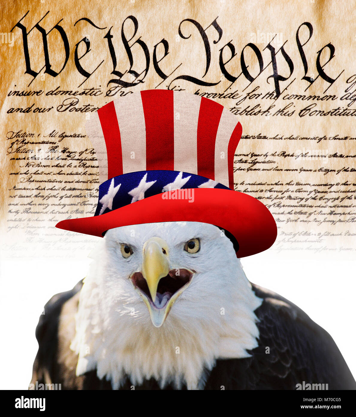 Constitution of America, We the People with American bald eagle. Stock Photo