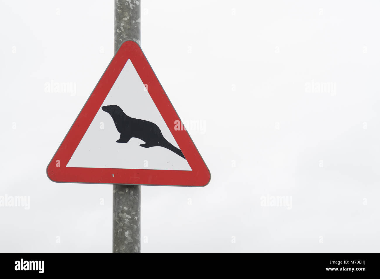 Otters crossing traffic warning sign, Scotland, UK Stock Photo