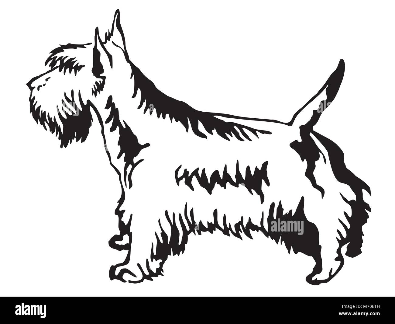 Decorative contour portrait of standing in profile Scottish Terrier, vector isolated illustration in black color on white background Stock Vector