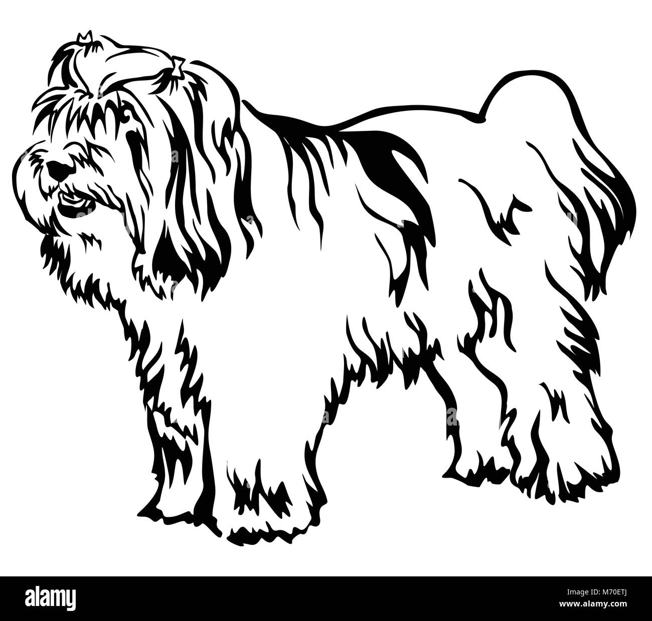 tibetan-vector-vectors-hi-res-stock-photography-and-images-alamy
