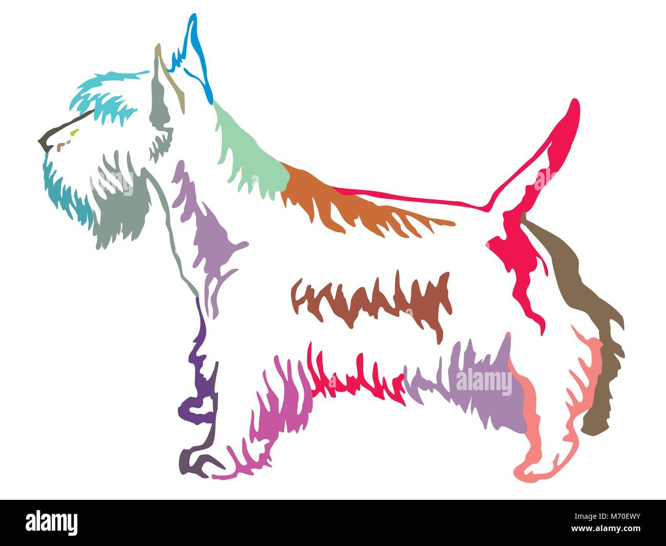 Colorful contour decorative portrait of standing in profile dog Scottish Terrier, vector isolated illustration on white background Stock Vector