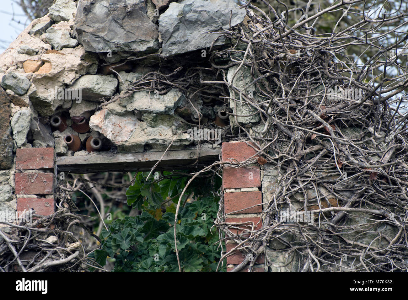 Old barn wall with ceramic bottles embedded above the door. Stock Photo