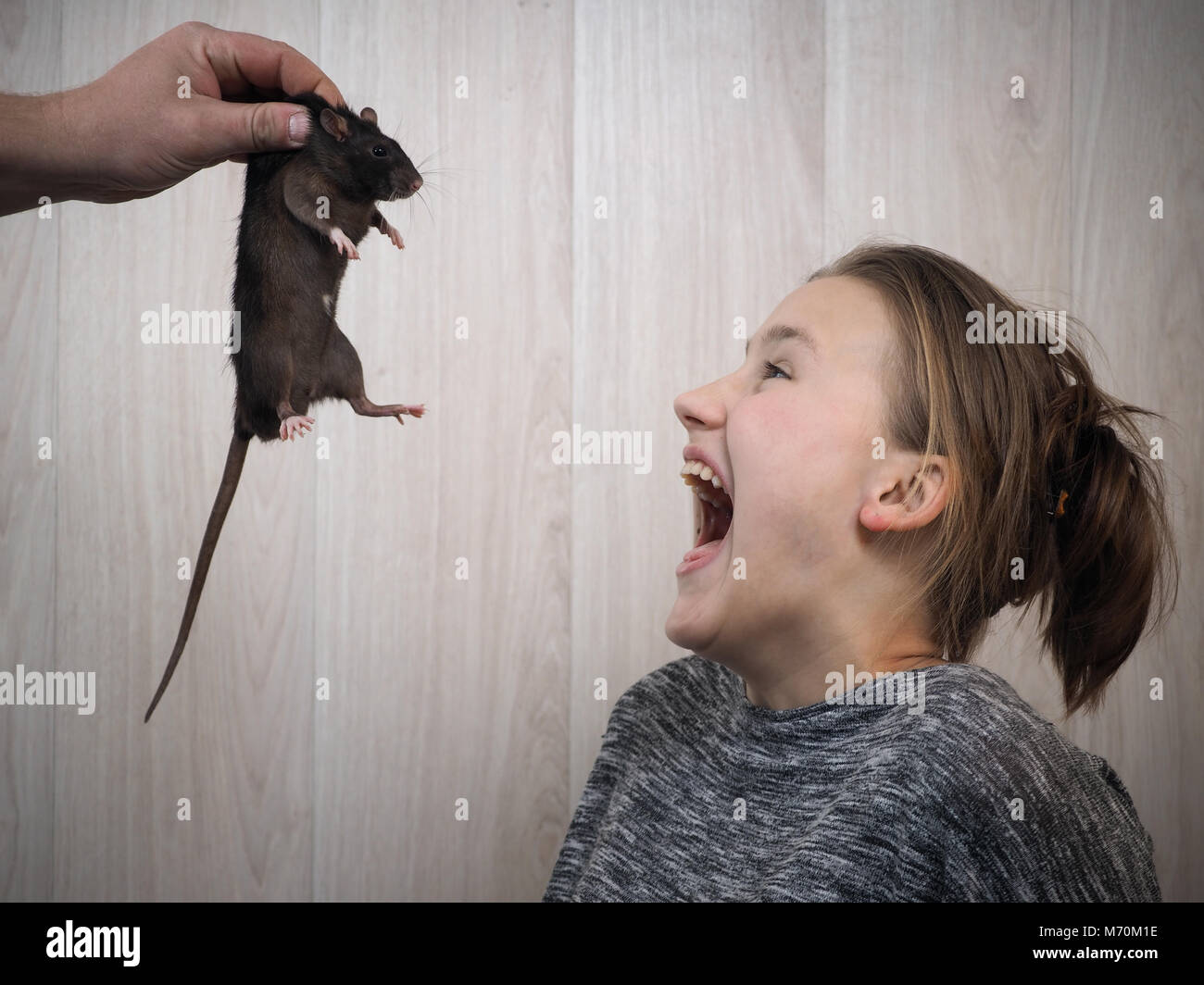 A man's hand shows a rat to a girl. Emotional portraitfear, scream, vivid emotions from
