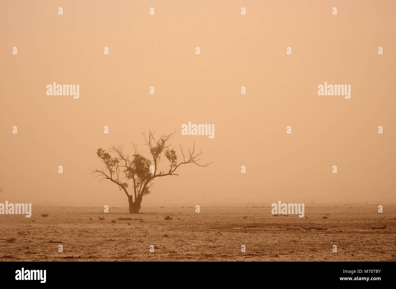 Dense dust blowing over parched land as a cool change sweeps throught the Northern parts of Victoria. Stock Photo