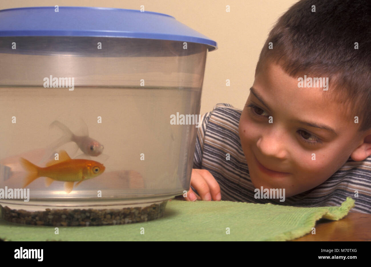 little boy and goldfish Stock Photo