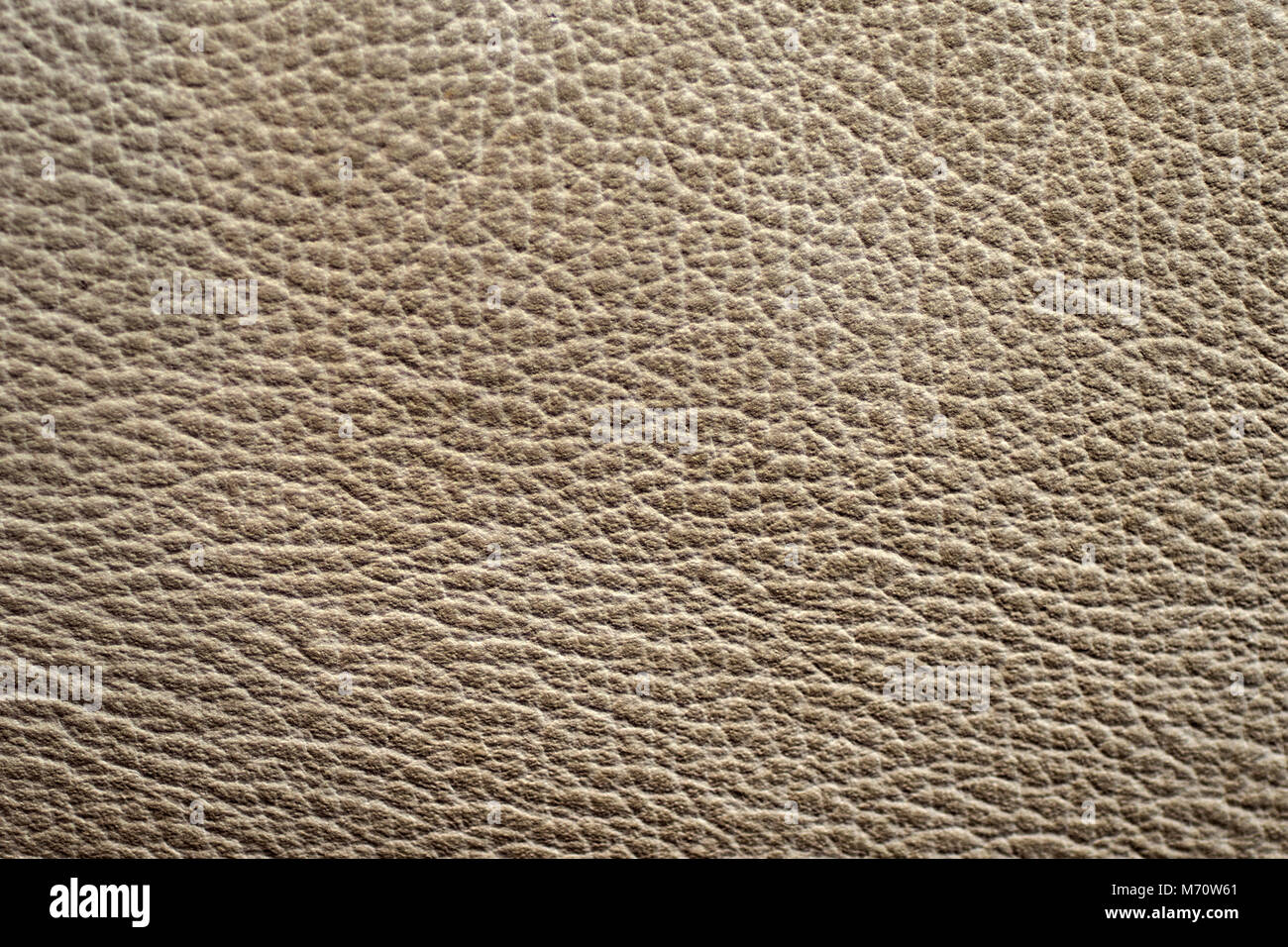Leather Tanned Texture Images – Browse 18,070 Stock Photos