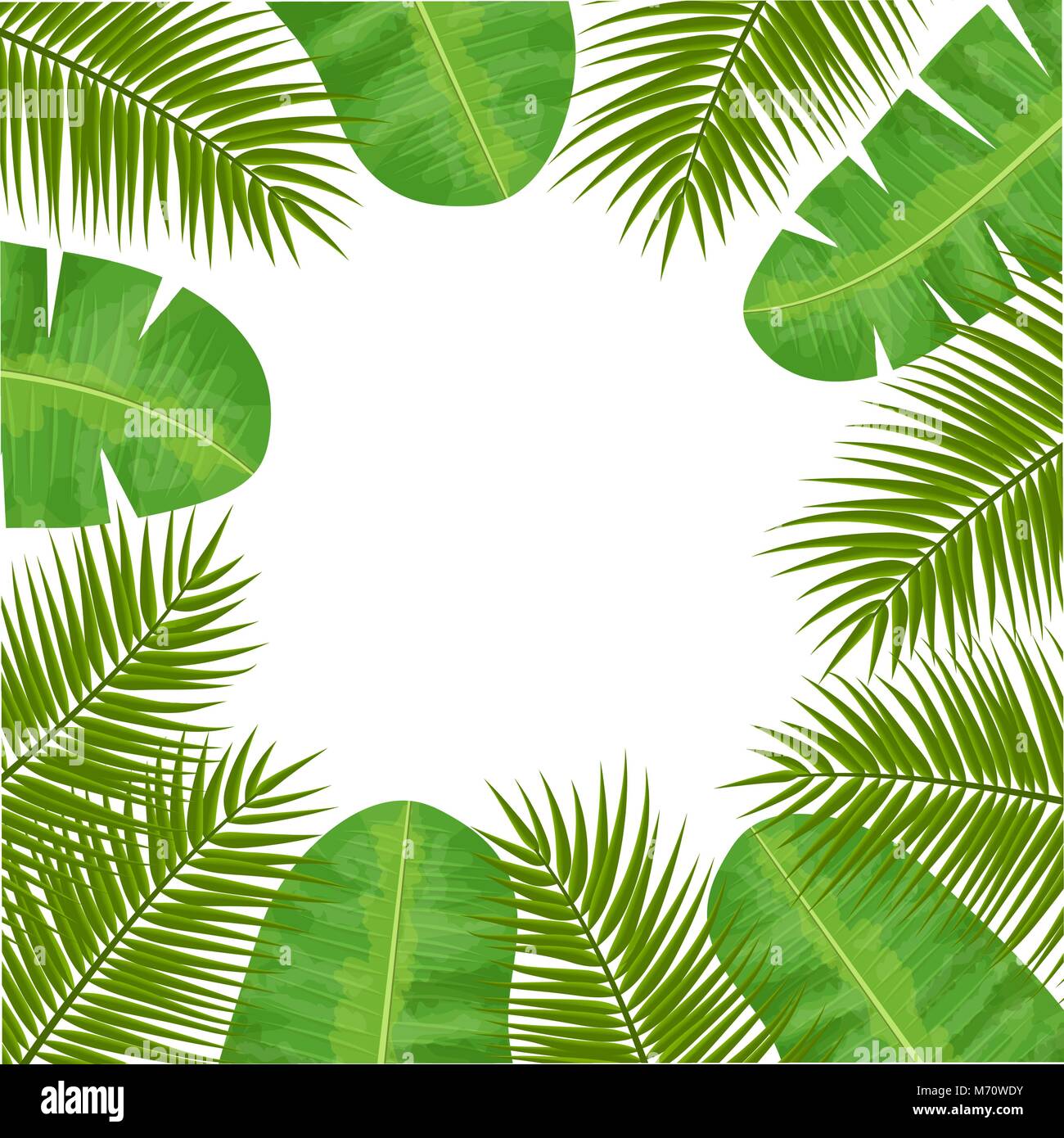 Coconut palm and Banana palm leaves frame. Central place for text. label template. Vector illustration with tropic motif Stock Vector