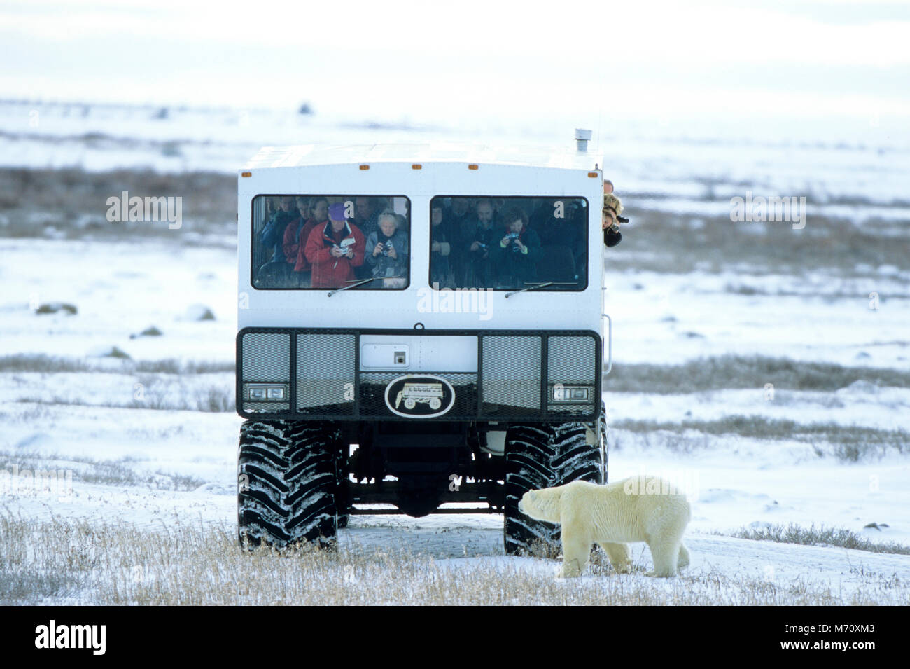 Tundra buggy hi-res stock photography and images - Alamy
