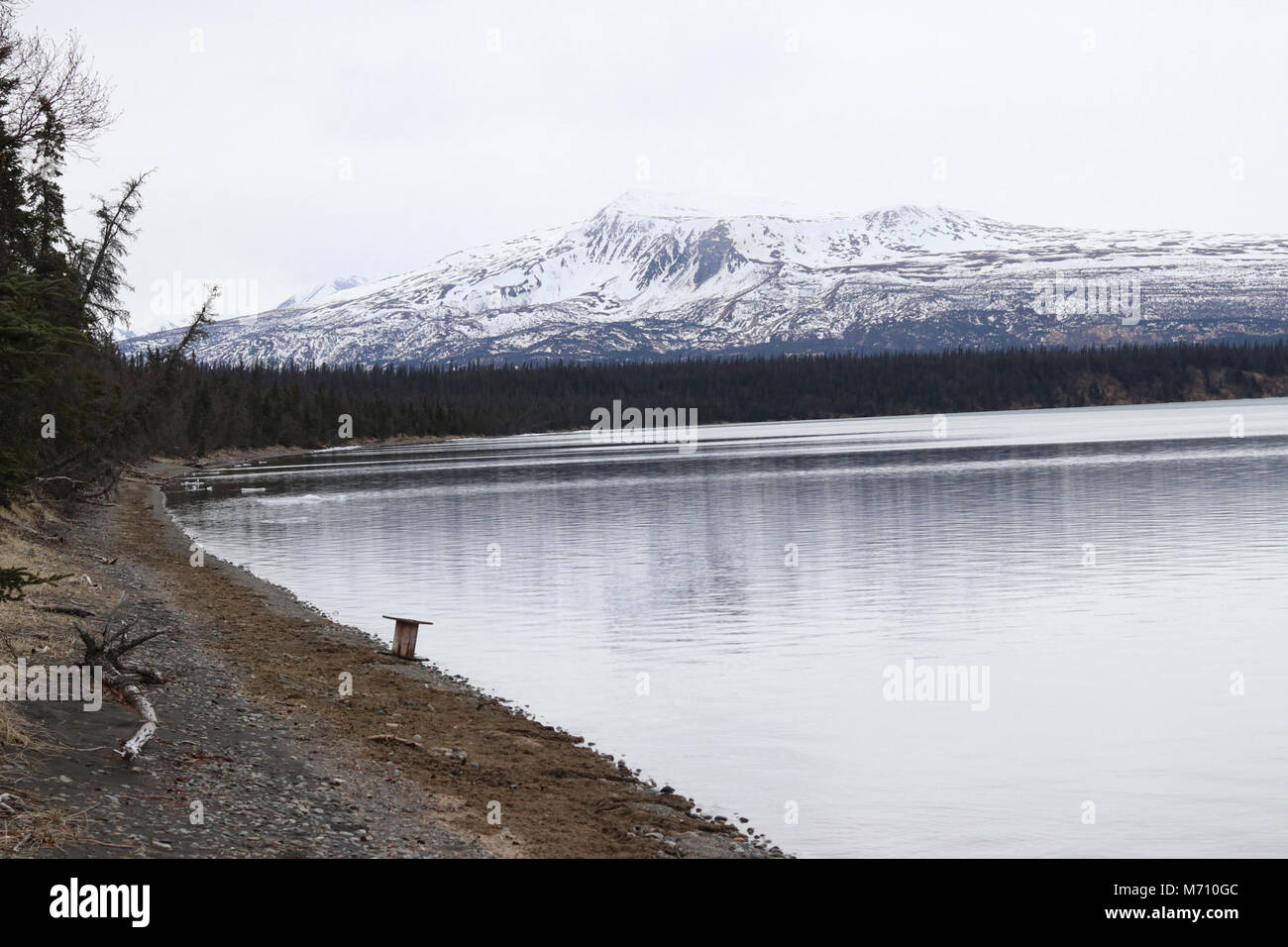 Brooks Lake beach Stock Photo Alamy