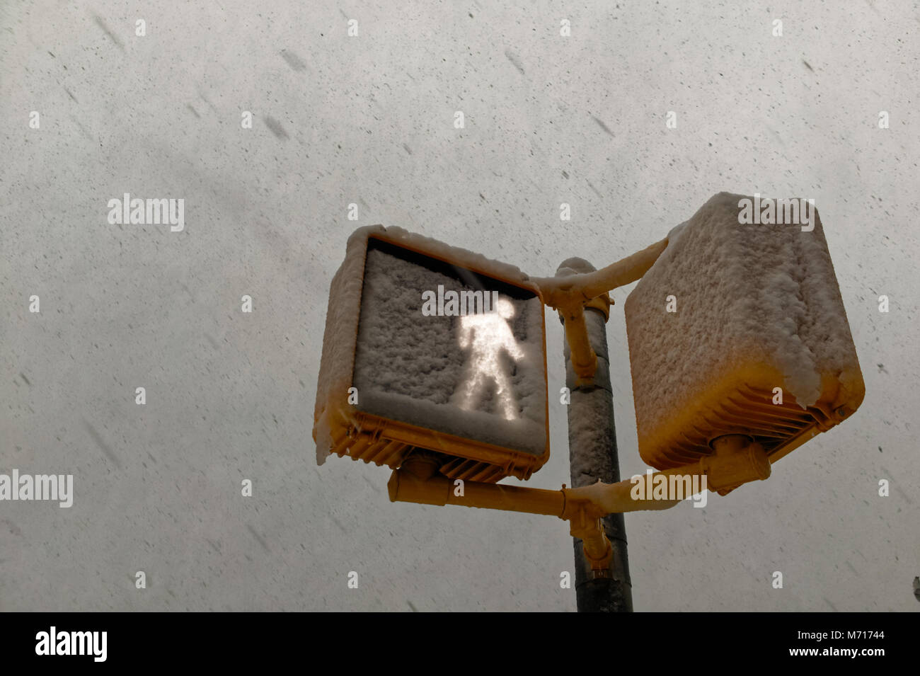 Brooklyn, USA. 7th March, 2018. Crossing signal covered in snow during the Nor'easter of March 7th, 2018 in Brooklyn New York. Credit: OneDayOneImage/Alamy Live News Stock Photo