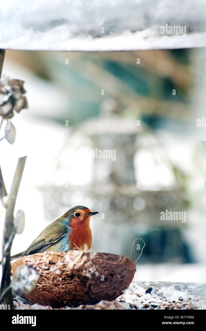 birds feeding in the winter garden Stock Photo Alamy