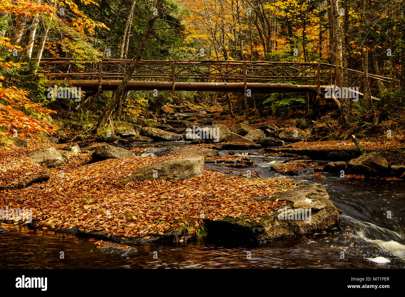 Log Bridge Over The Sacandaga River, Adirondack Forest Preserve, New York Stock Photo