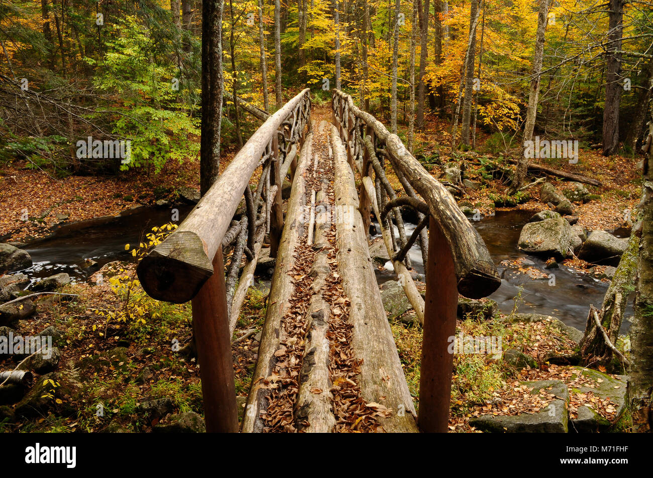 Log Bridge Over The Sacandaga River, Adirondack Forest Preserve, New York Stock Photo