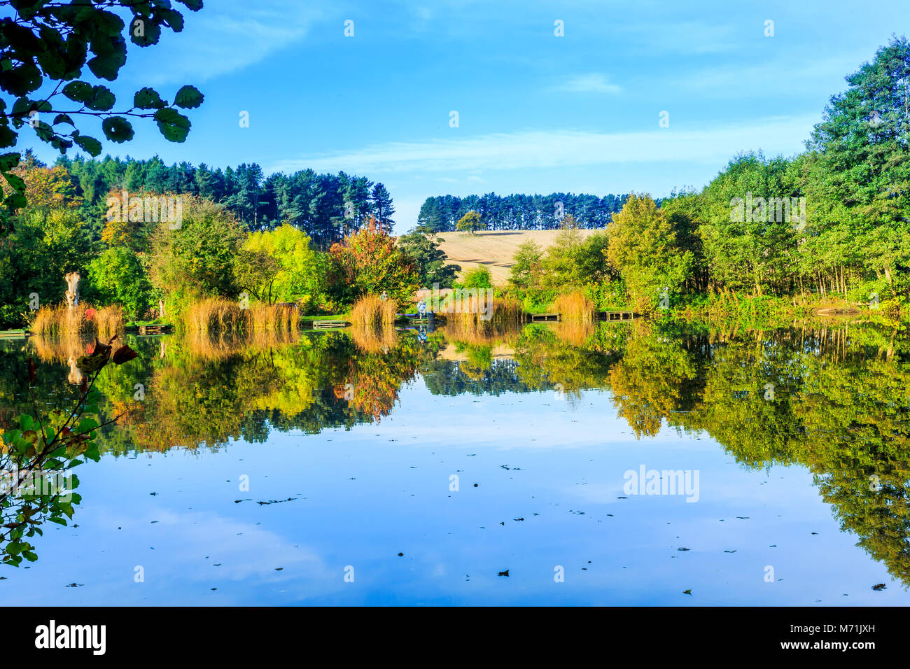 Fishing lakes at Himley Hall, Dudley, West Midlands Stock Photo - Alamy