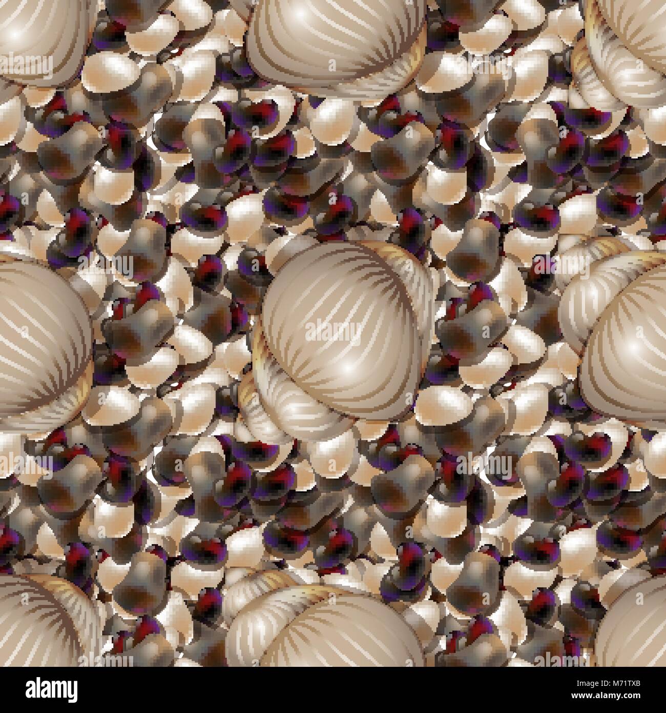 Seashell shapes Stock Vector Images - Alamy