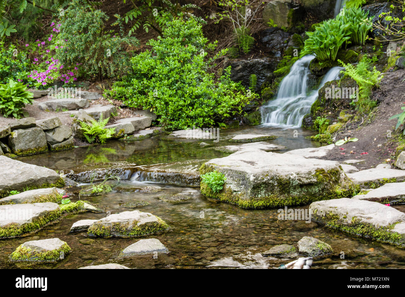 Small waterfall and stream with rocks in the Crystal Springs