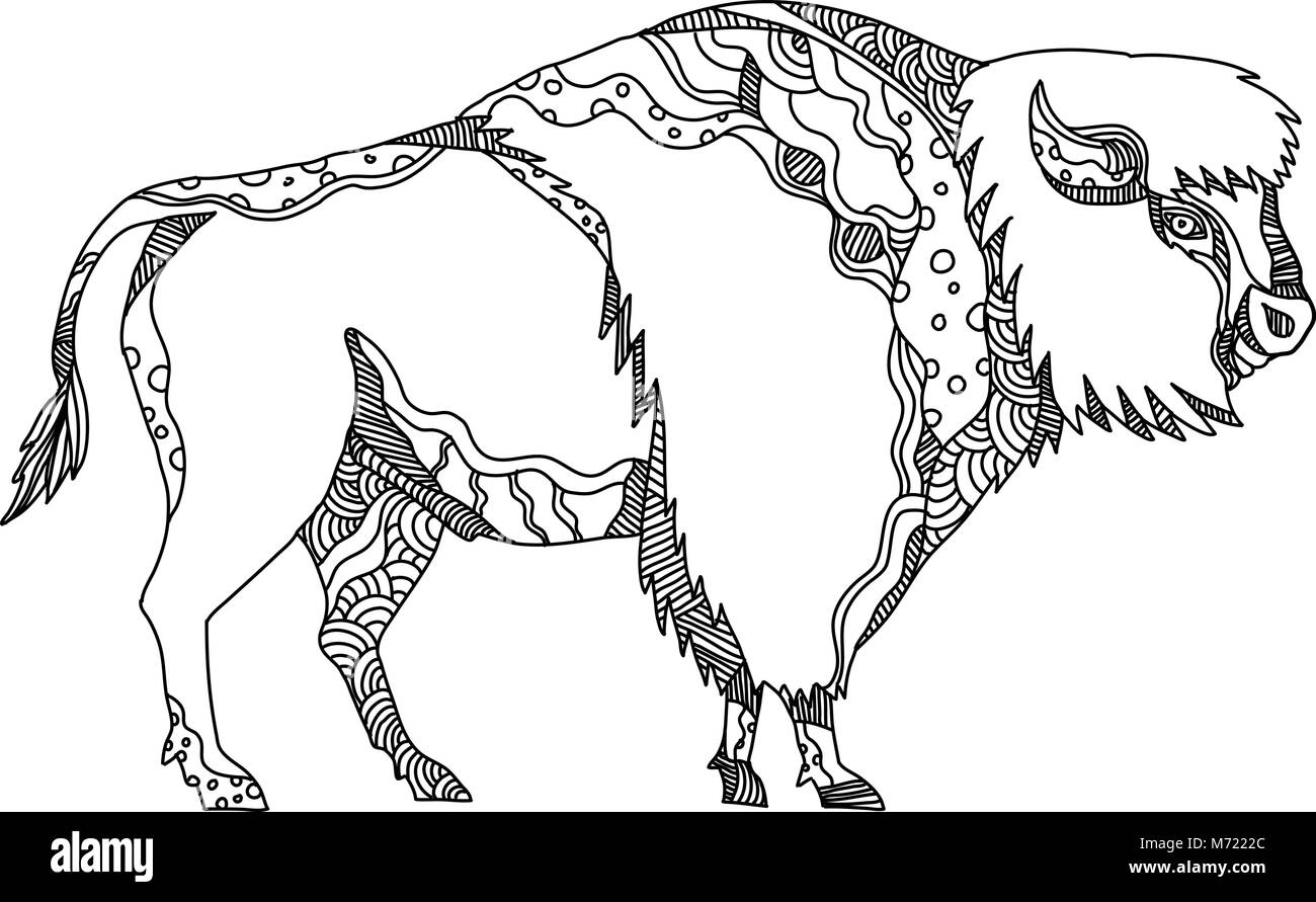 American Buffalo Drawing By Walter Israel