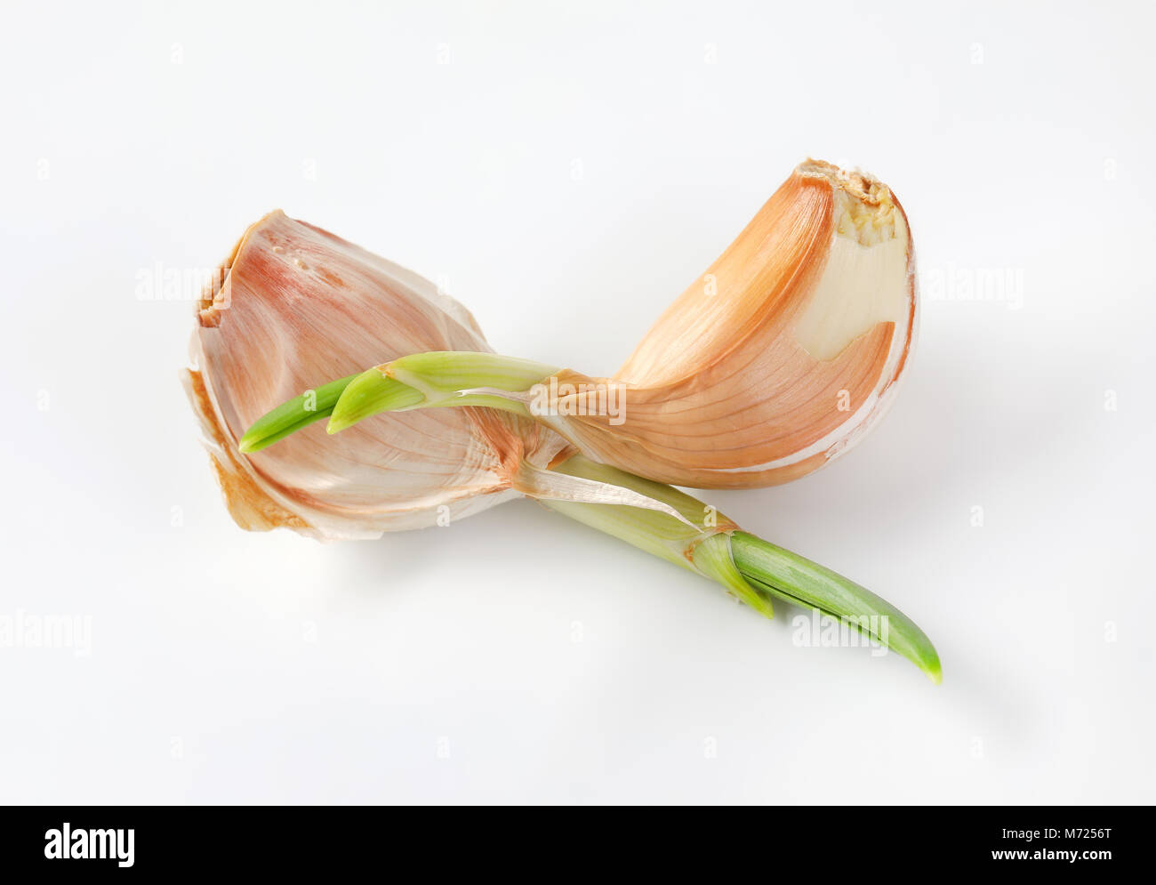 cloves of fresh garlic on white background Stock Photo - Alamy