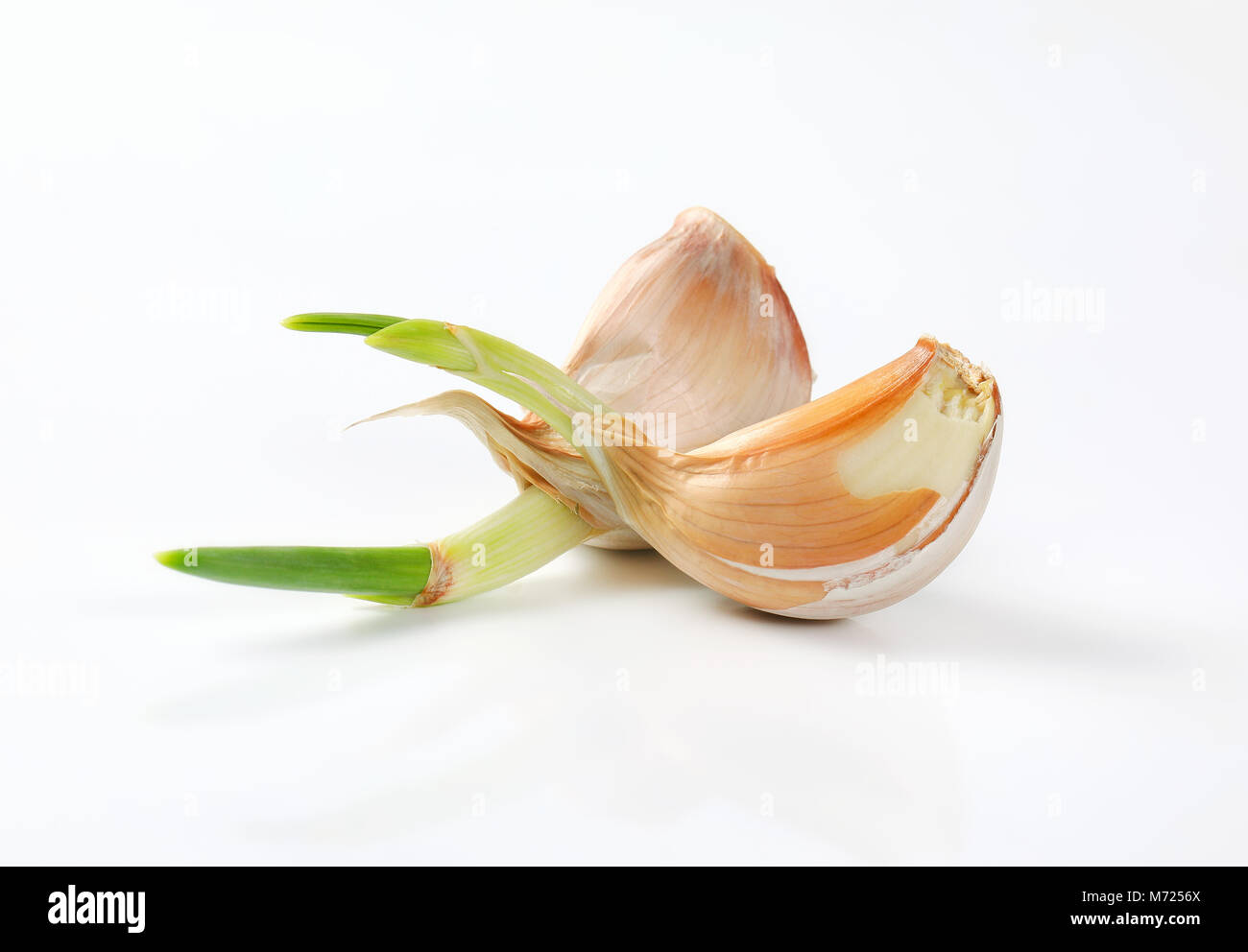 cloves of fresh garlic on white background Stock Photo - Alamy