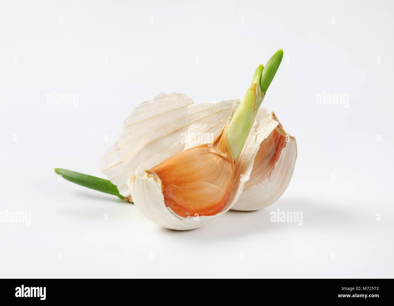 cloves of fresh garlic on white background Stock Photo - Alamy