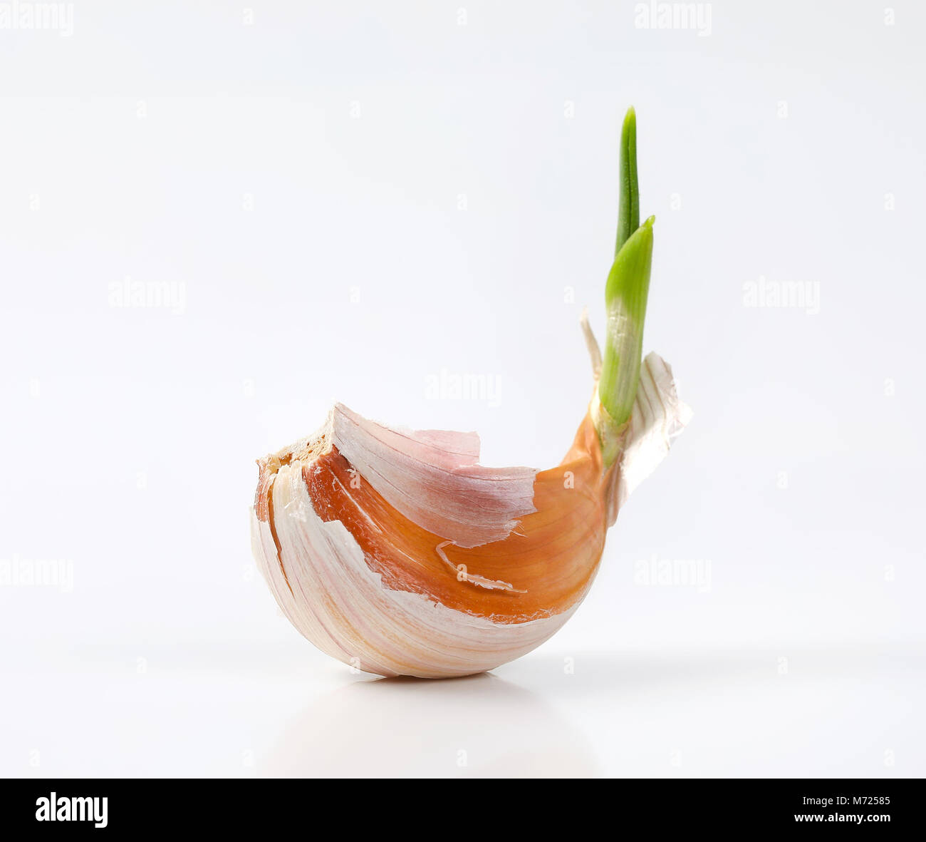clove of fresh garlic on white background Stock Photo - Alamy