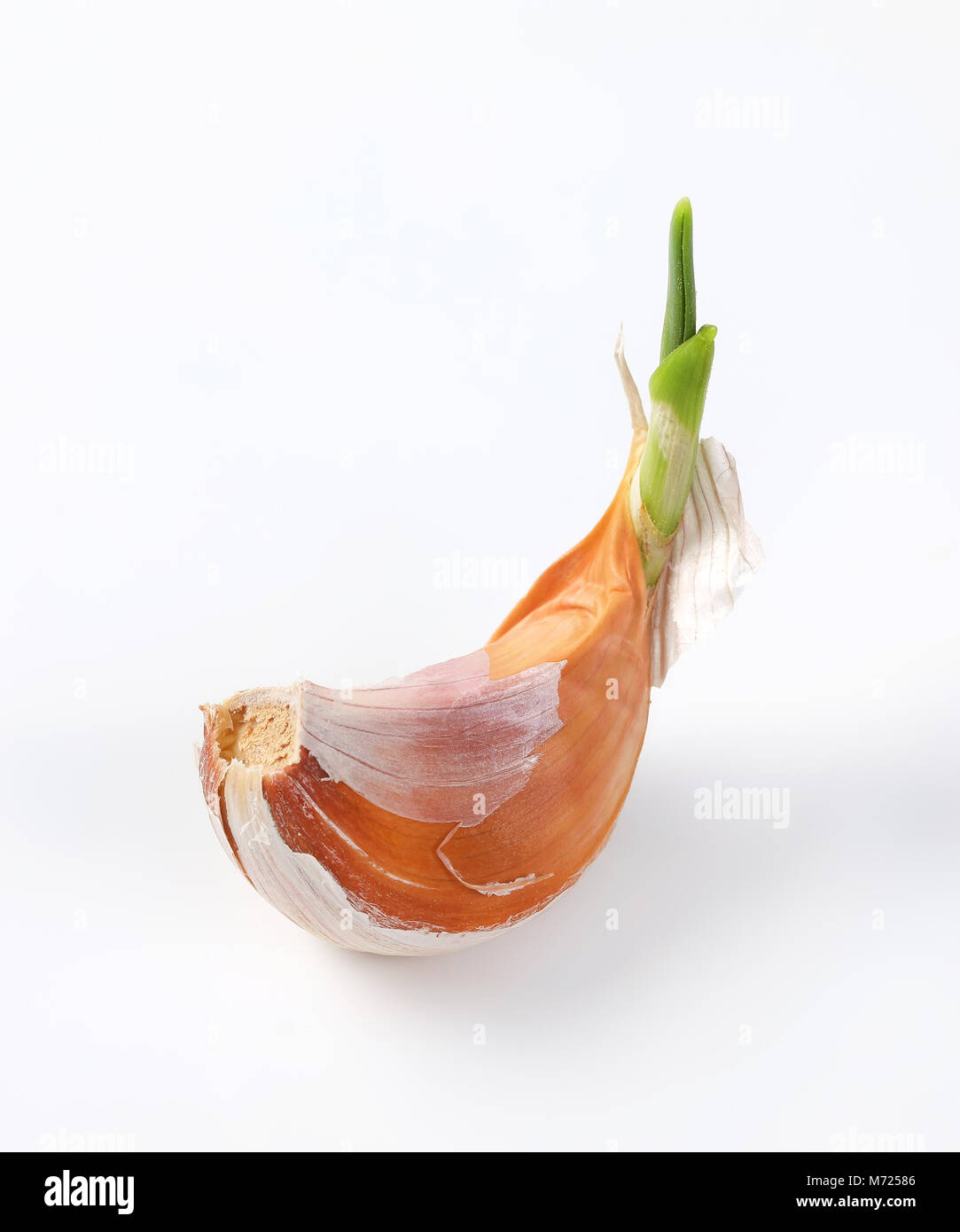 clove of fresh garlic on white background Stock Photo - Alamy
