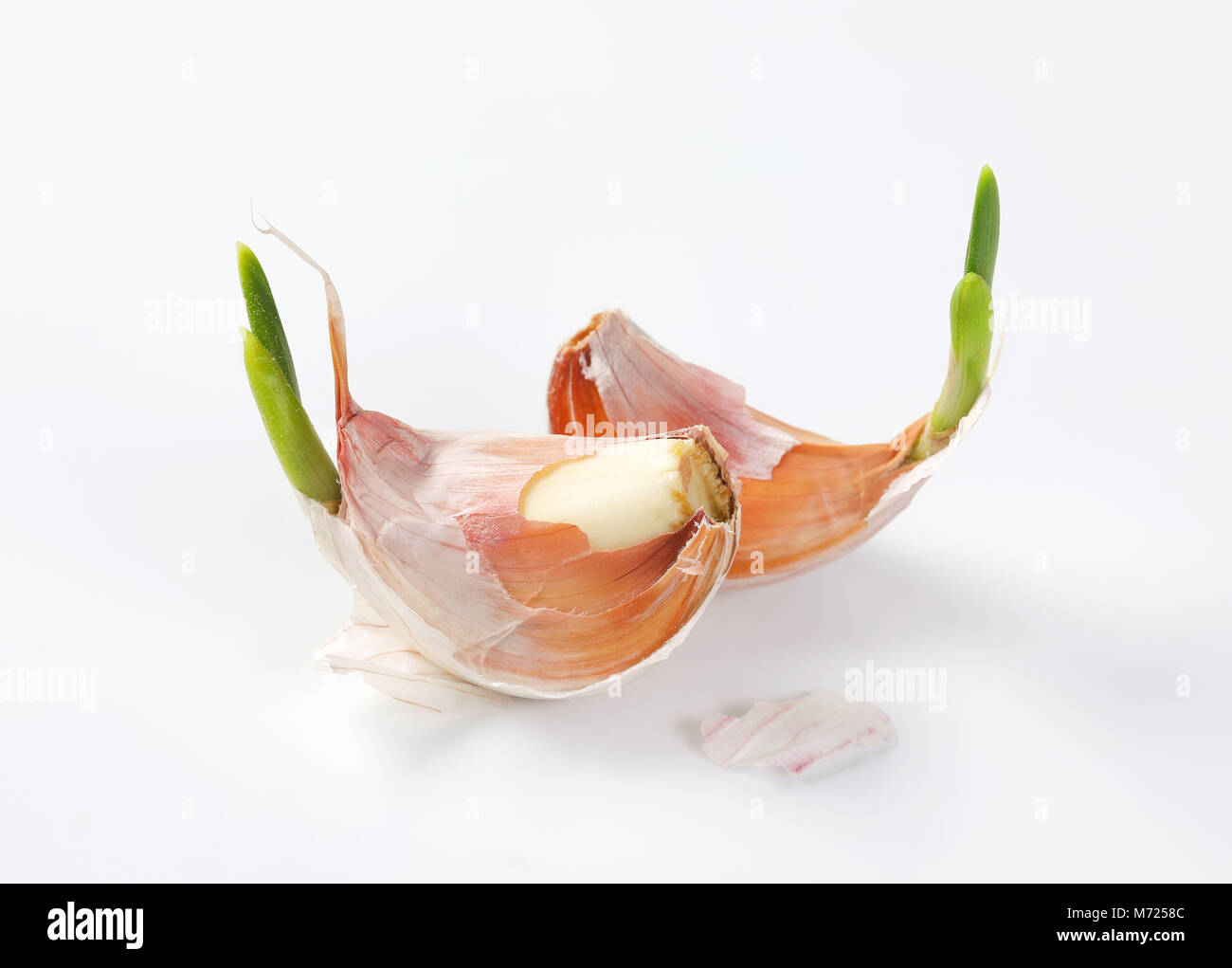 cloves of fresh garlic on white background Stock Photo - Alamy