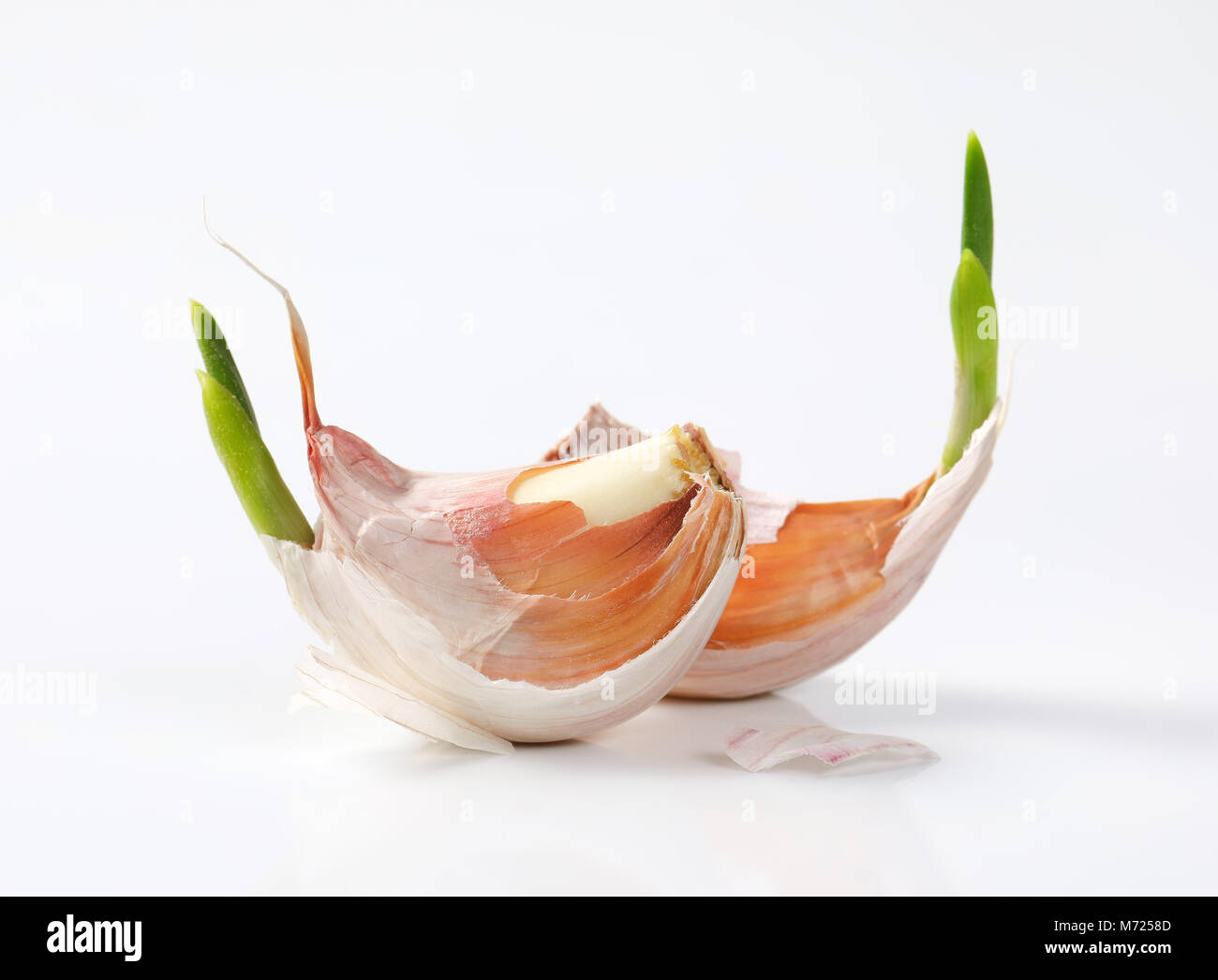 cloves of fresh garlic on white background Stock Photo - Alamy