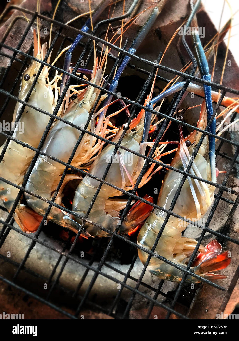 Grilling the river shrimp with hot charcoal flaming photo with indoor