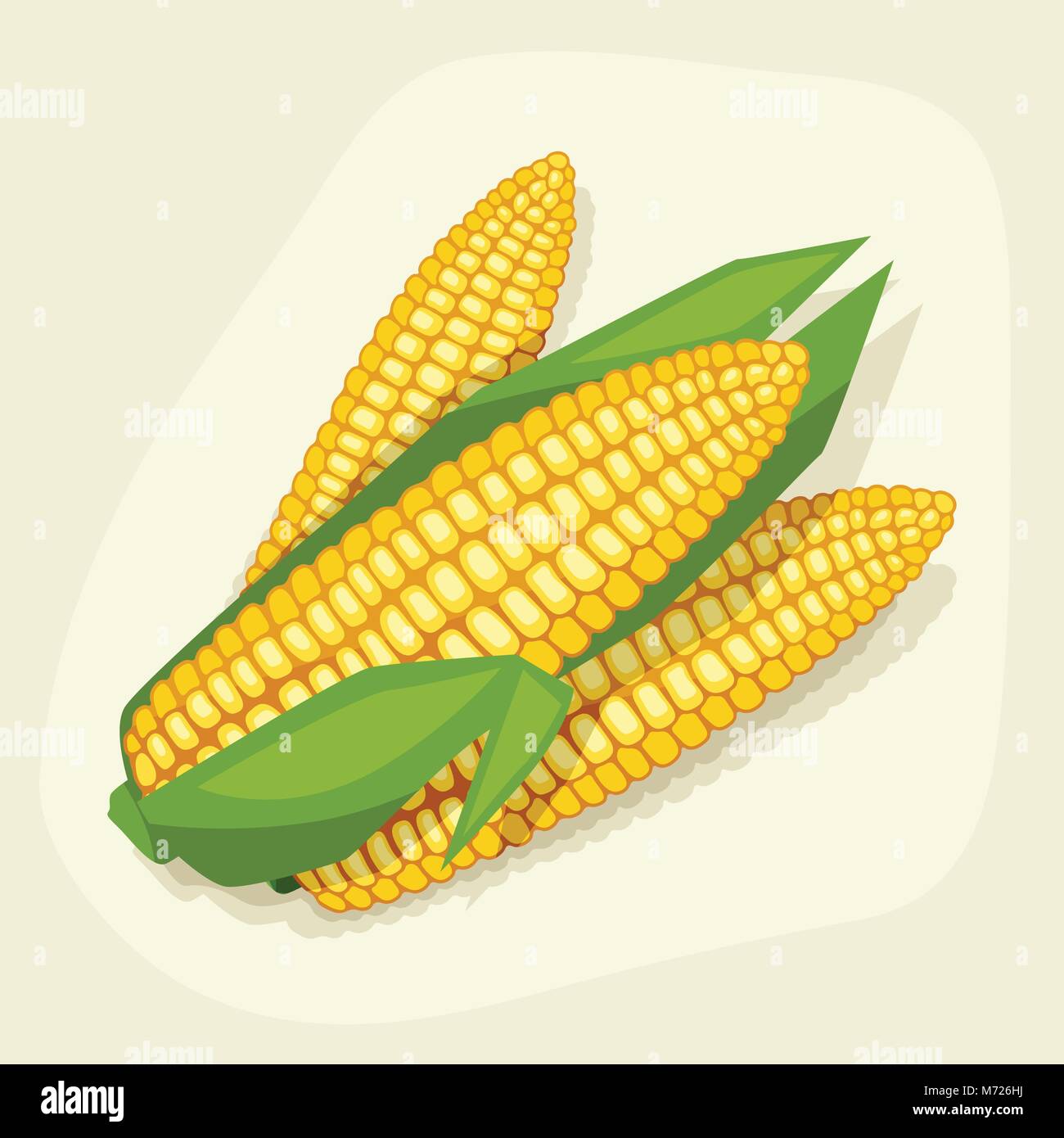 Stylized vector illustration of fresh ripe corn cobs Stock Vector Image ...