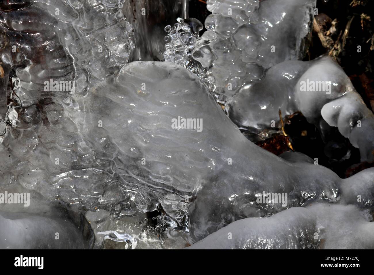 Funny, bulby icicles from clear water at a creek Stock Photo