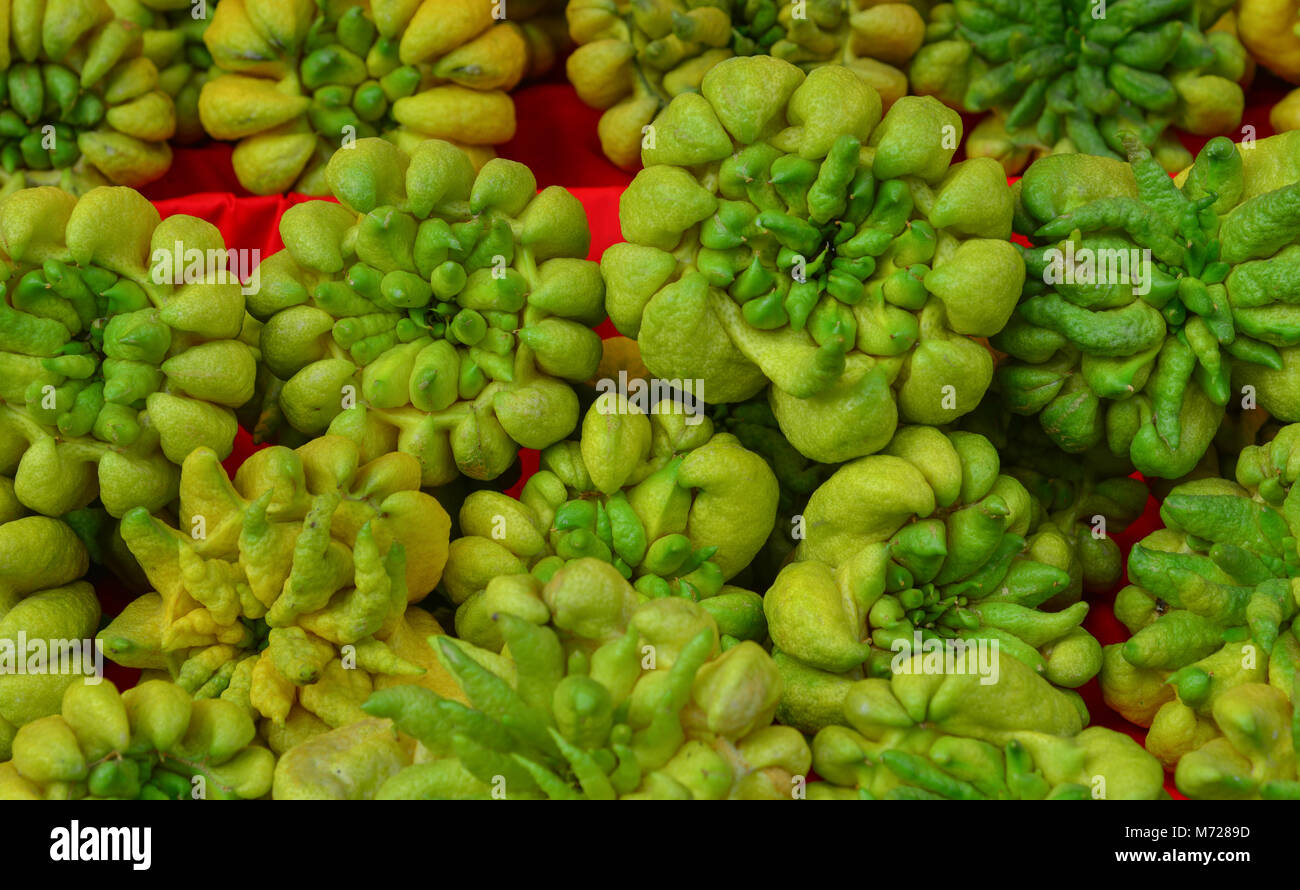 Selling Buddha hand fruits (Citrus medica, fingered citron) at market in  Singapore Stock Photo - Alamy