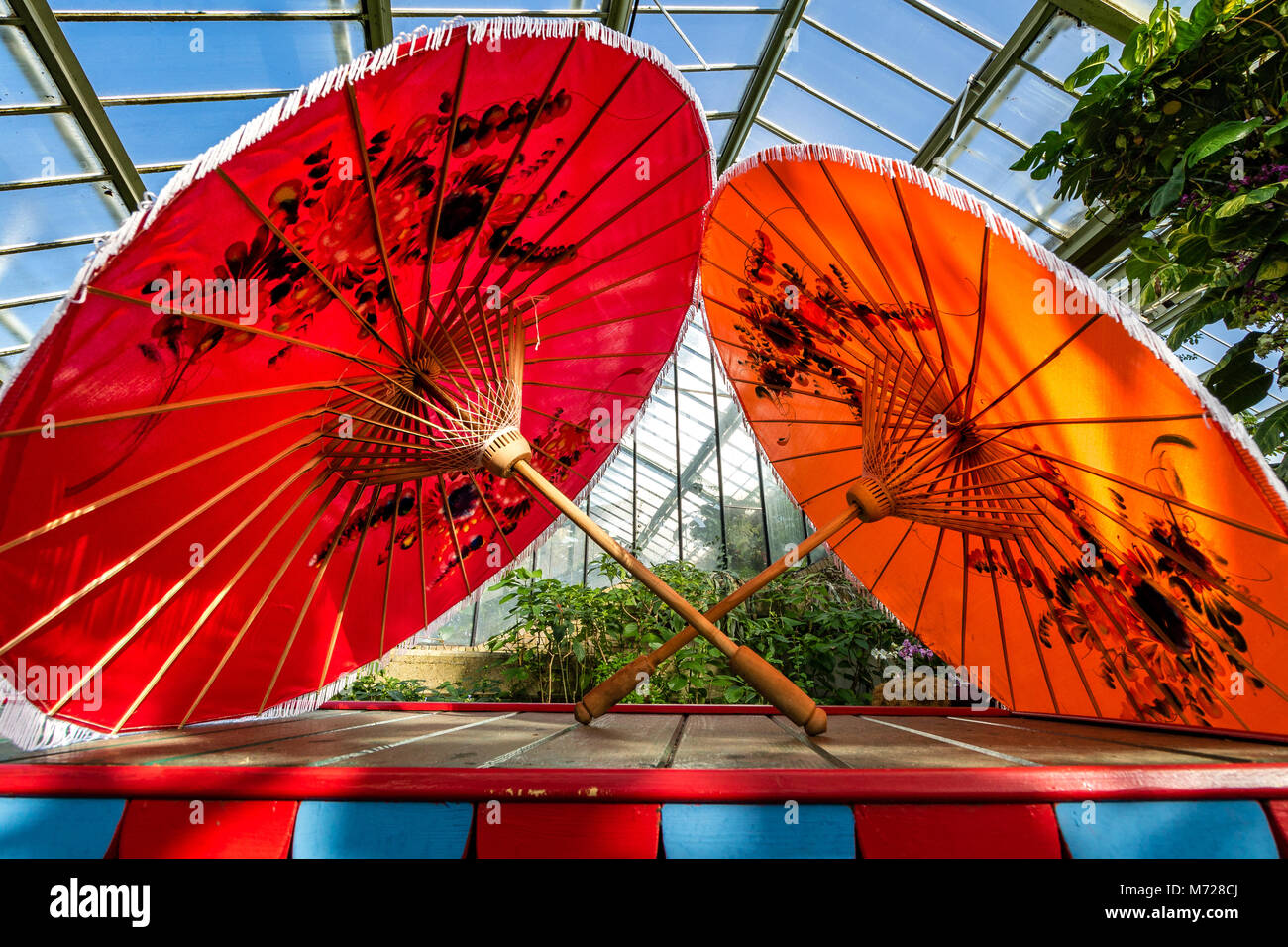Two Brightly Coloured Red and Orange oriental style parasols side by side on top of a wooden chest Stock Photo
