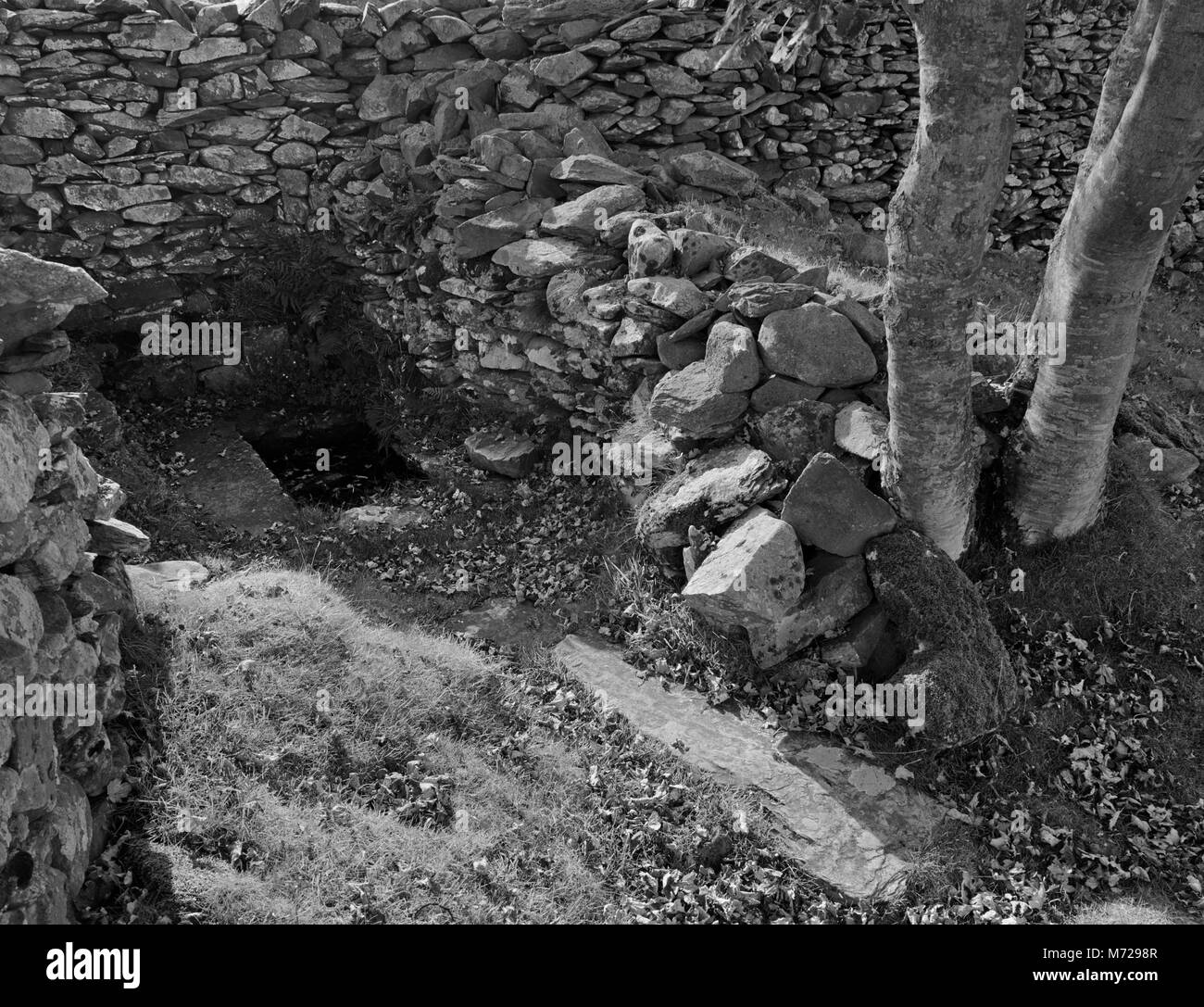 View W, before restoration, of Ffynnon Gelynin holy well in S corner of St Celynin's Old Churchyard, Llangelynin, above Vale of Conwy, North Wales, UK Stock Photo