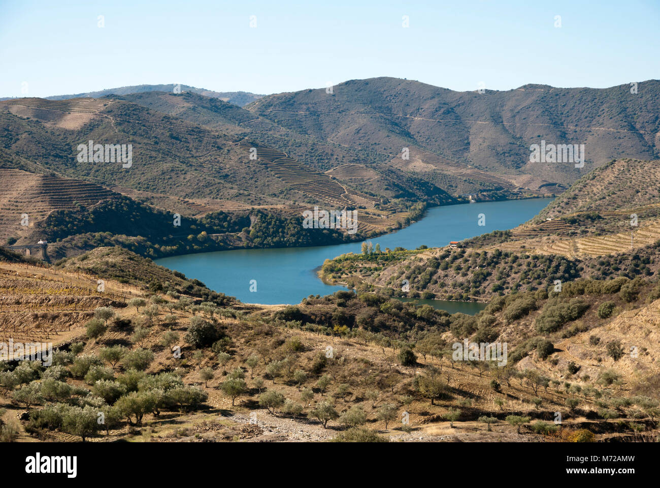 Vineyards at Douro river valley in autumn, Uncesco world heritage, Portugal Stock Photo