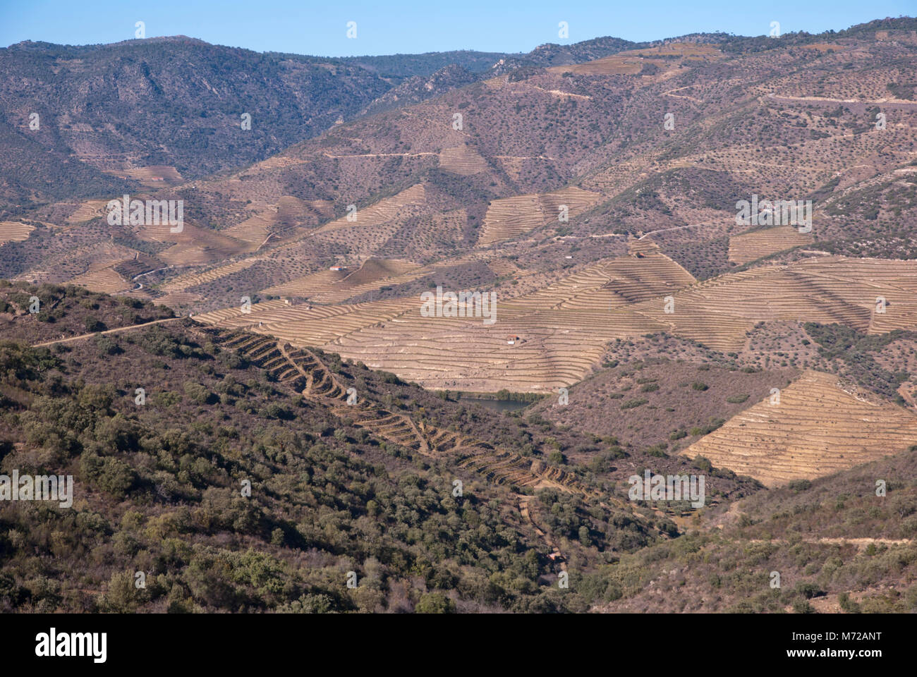 Vineyards at Douro river valley in autumn, Uncesco world heritage, Portugal Stock Photo