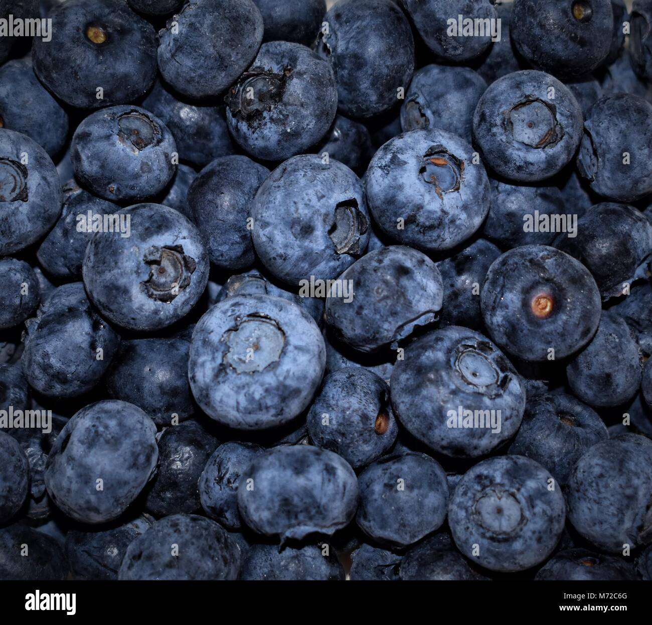 Beautiful, fresh bunch of blueberries Stock Photo Alamy