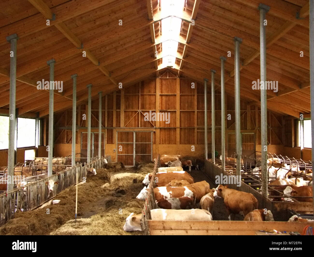 Free stall barns hires stock photography and images Alamy