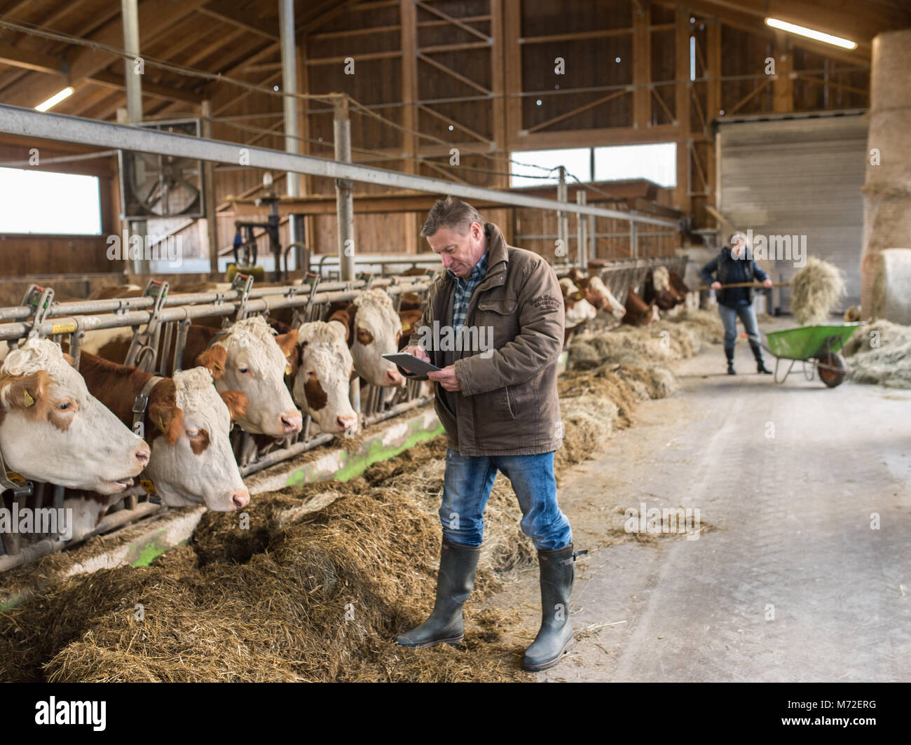 Stable data hi-res stock photography and images - Alamy