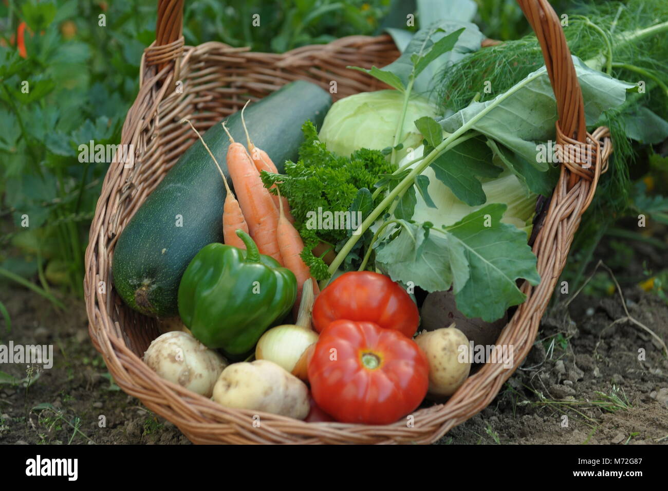 vegetables 16 Stock Photo