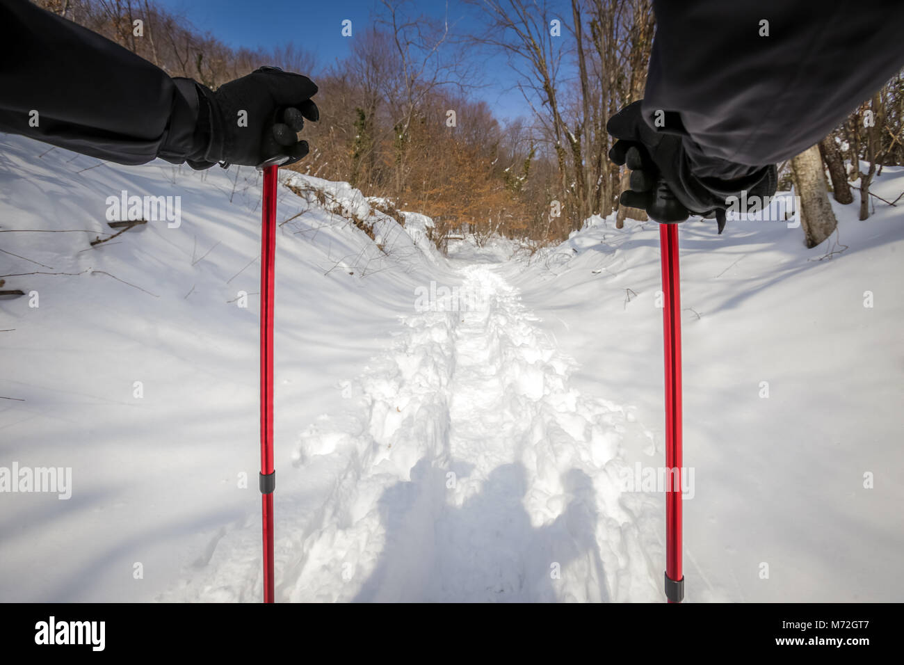 Hiking black forest poles hi-res stock photography and images - Alamy
