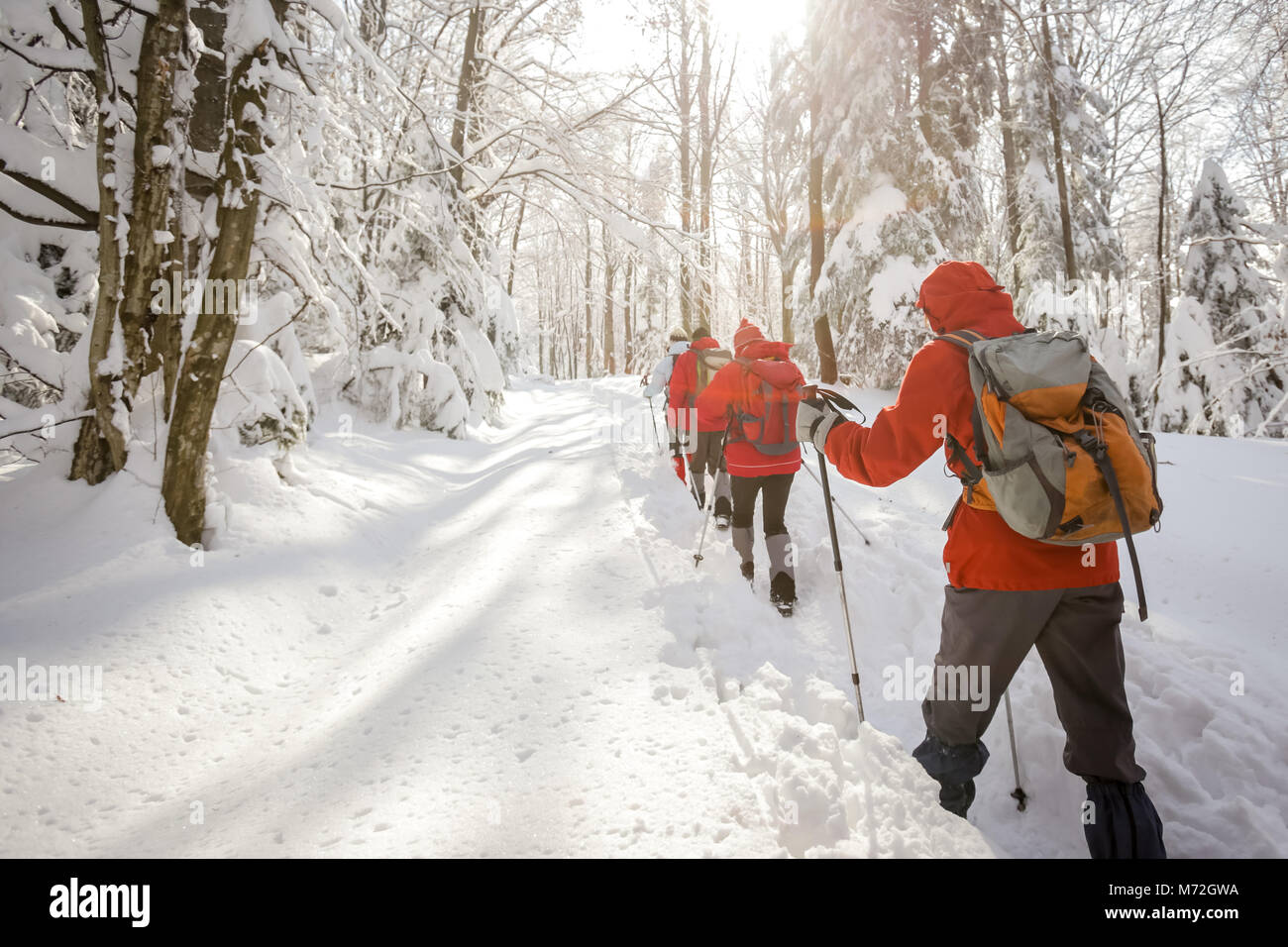 Four hikers walking on mountain hi-res stock photography and images - Alamy