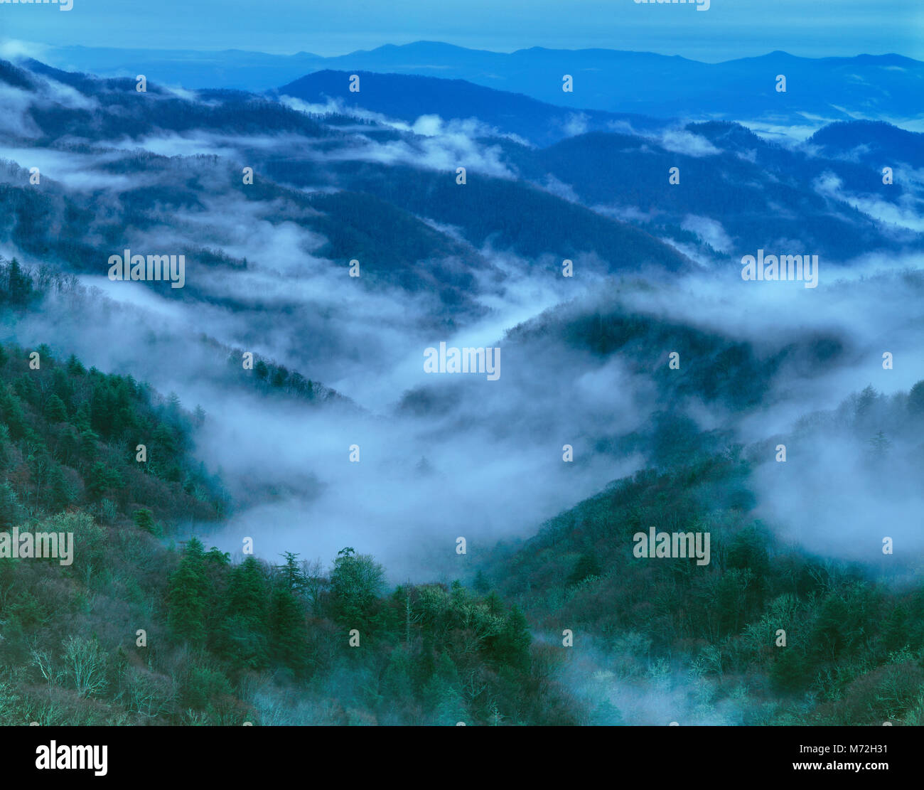 Lifting Fog, Great Smoky Mountains National Park, North Carolina Stock Photo