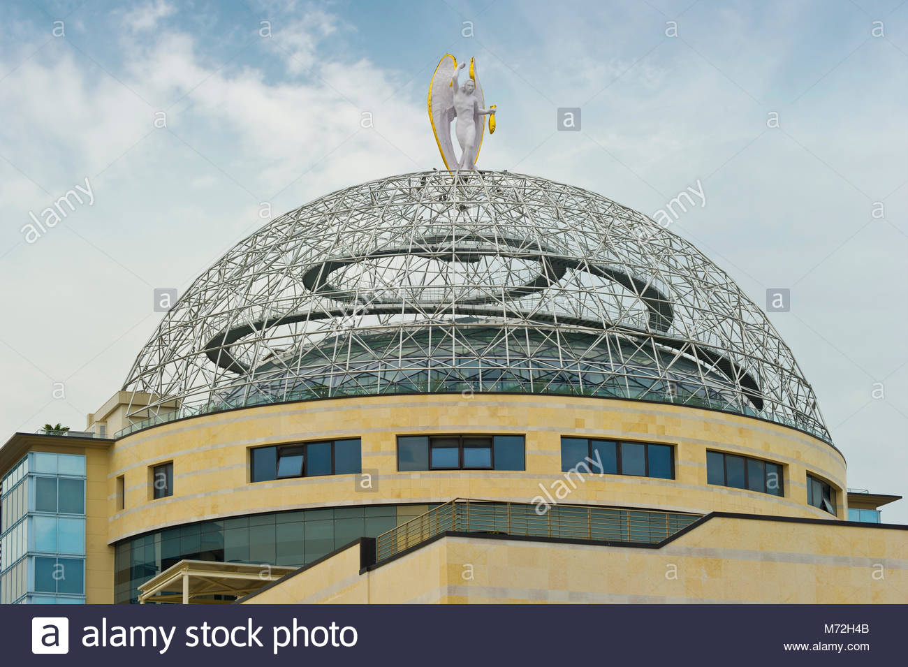 Download San Raffaele Hospital Milan Pictures
