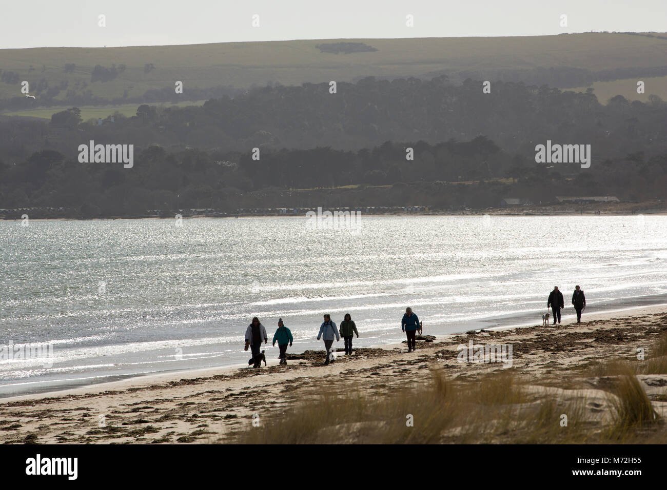 Walkers and dogs enjoying a day out on Studland Beach, Dorset UK Stock Photo